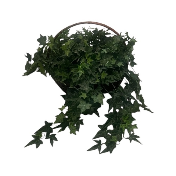 Set Of 2 Gold Leaf Collection Silk Artificial English Ivy Basket - Picture 2 of 11